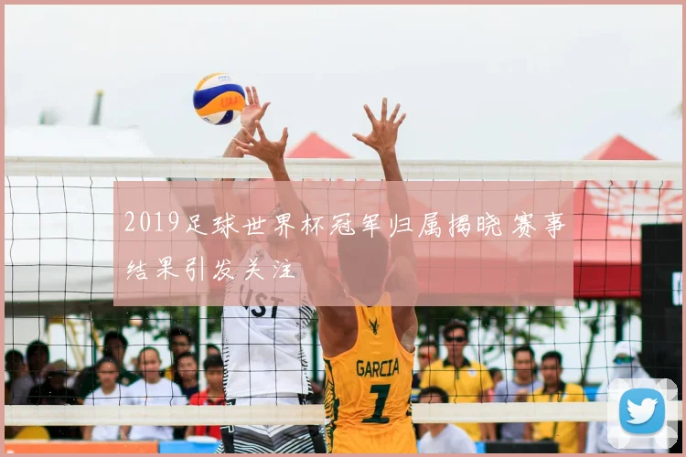 2019足球世界杯冠军归属揭晓 赛事结果引发关注