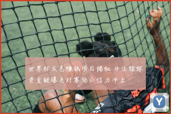 世界杯灰色赚钱项目揭秘 非法赌球资金链曝光对赛场公信力冲击