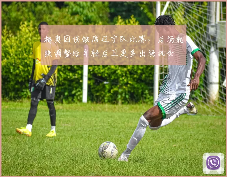 梅奥因伤缺席辽宁队比赛，后场轮换调整给年轻后卫更多出场机会