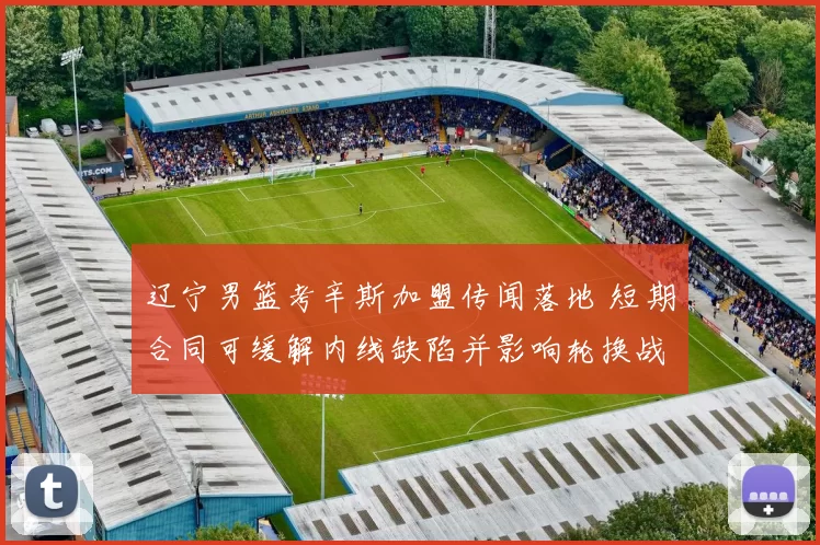 辽宁男篮考辛斯加盟传闻落地 短期合同可缓解内线缺陷并影响轮换战术安排