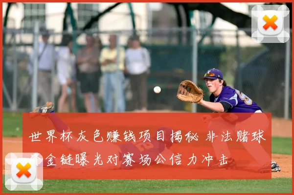 世界杯灰色赚钱项目揭秘 非法赌球资金链曝光对赛场公信力冲击